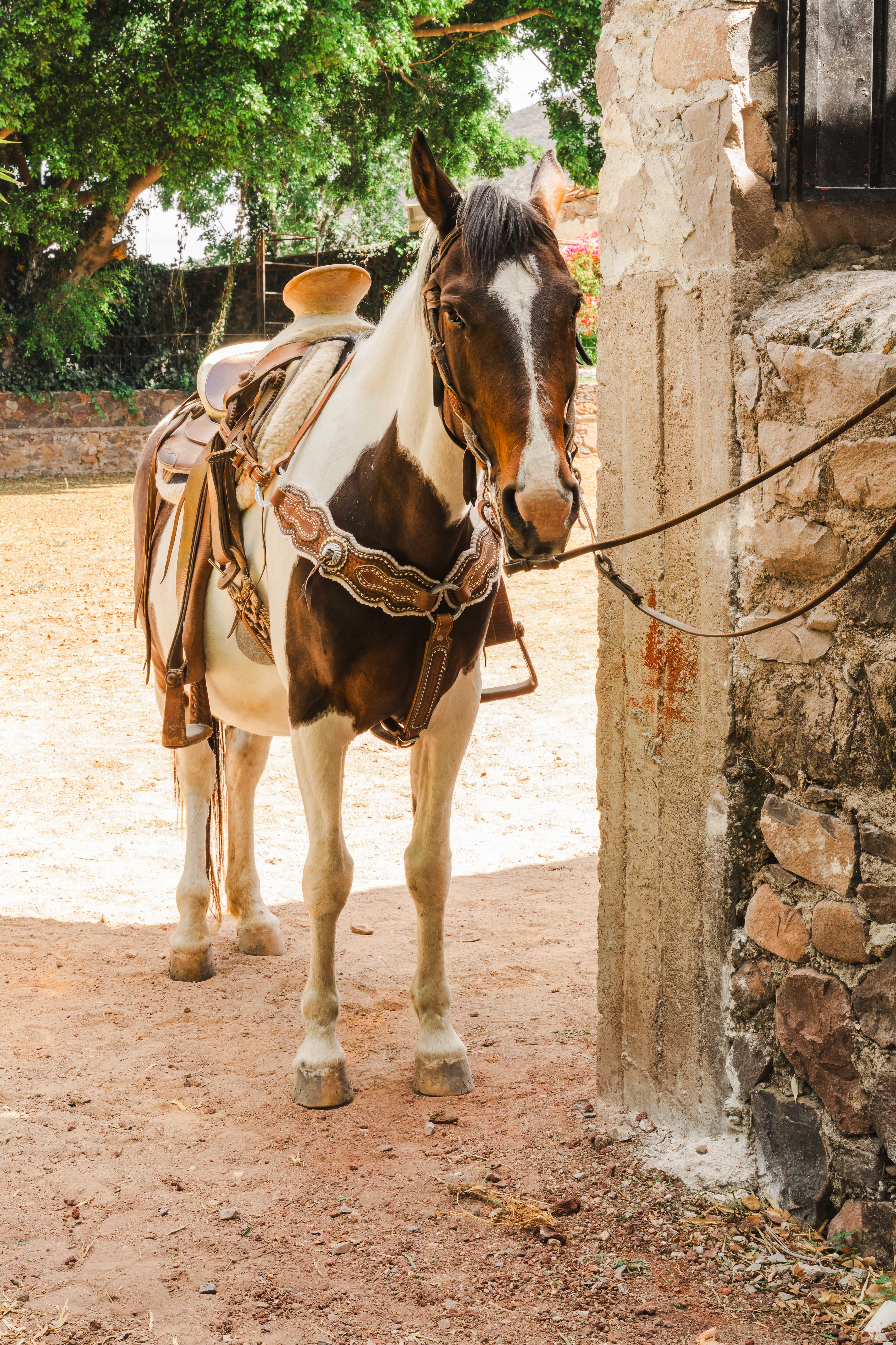 Monta a Caballo — foto 1