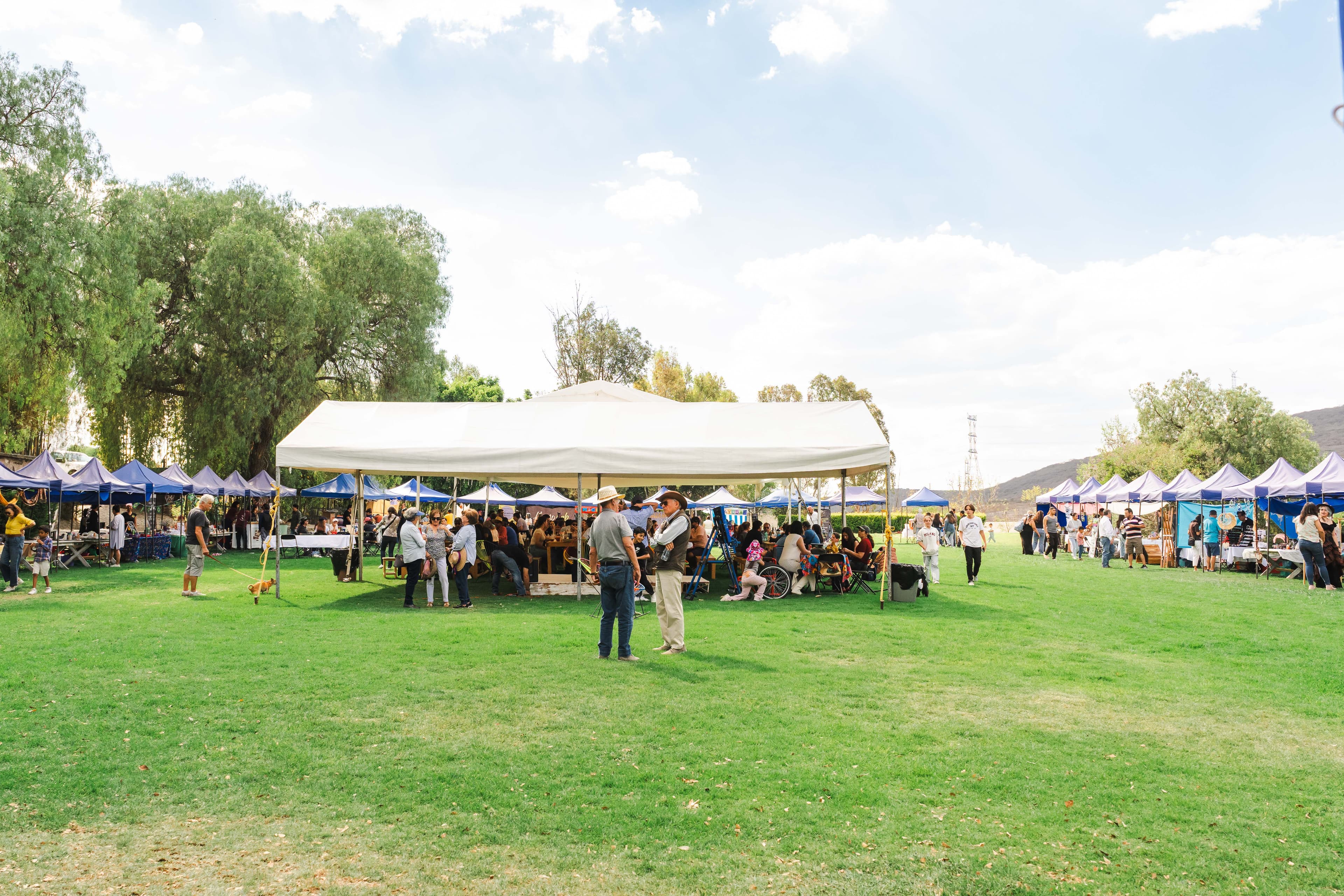 Testimonios de Artesanos