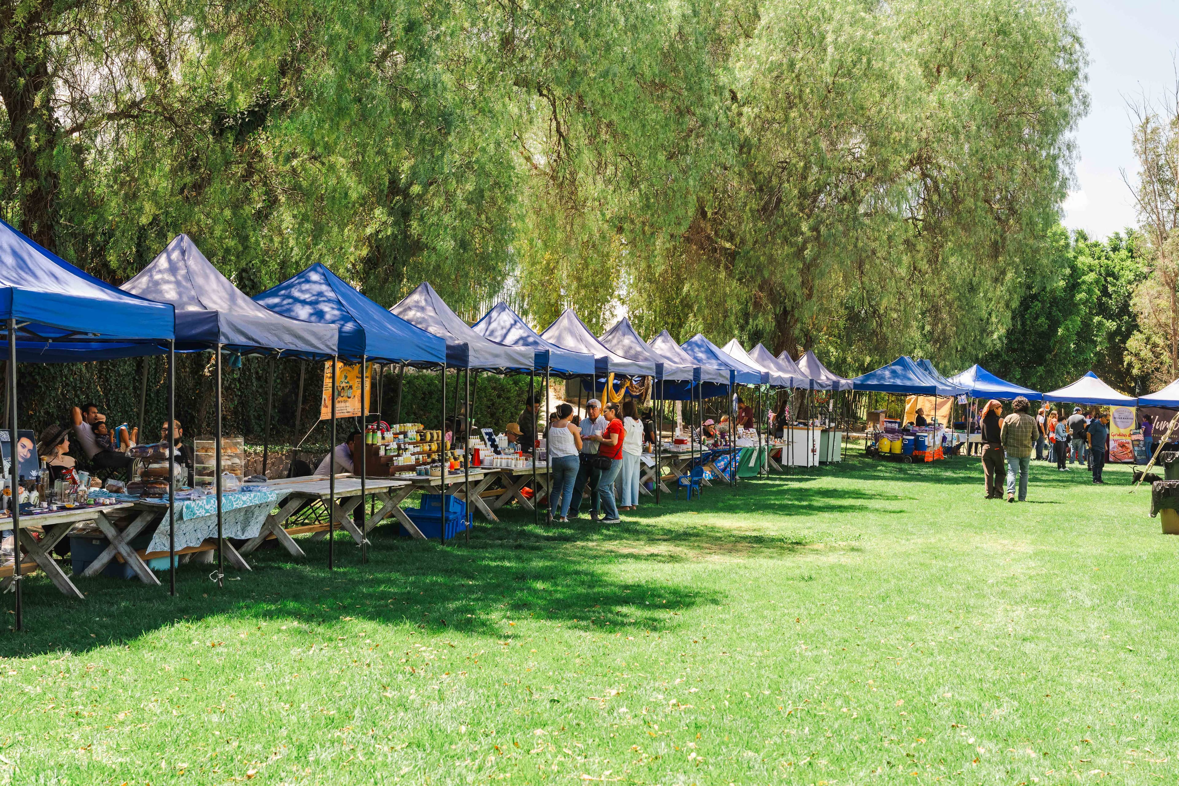 Conoce Nuestros Artesanos