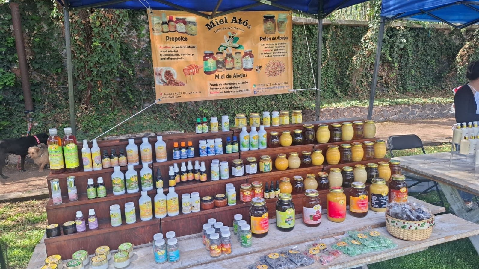 Productos de Miel Ató — foto 1